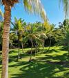 Apartamento Studio Aim� Des Antilles, Plage Piscine