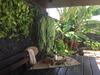 Apartamento Los Dragos