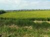 Cal Cabironet