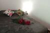 Apartamento New Studio Massouly Vue Jardin Anse Des Rochers