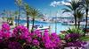 Blue Sunset - Apartamento Valentina
