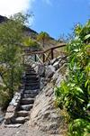 Finca Las Olivas