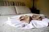 Aparthotel Aldermere Estate Luxury Apartments