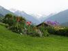 Apartamento Ferienwohnungen Tiroler Alpenhof