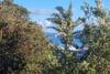 Lovely Browns Bay 4br Home Sea View Steps To Beach