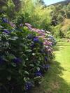 Bed & Breakfast Hereweka Garden Retreat