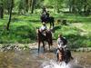 Hostal Sportpension Ramlhof