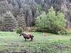 Apartamento Maians - Peu Del Riu 122