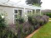 Apartamento Studio 35 St Andrews Hamilton