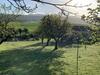 Agroturismo Casa Rural El Pajarcillo
