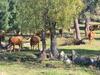 Casa Rural Aventura I