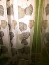 Apartamento Holiday Home Waterfall View