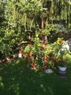 Hostal Pension Wieser "baschtlmai"