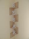 Apartamento Sesar Padr�n Vut-co-001865