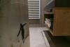 Am Dorfplatz Hotel Garni Adults Only