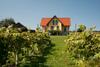 Agroturismo Weingut Winzerhof G�stezimmer Grebenz