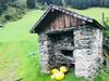 Apartamento Forsthaus Malerwinkel