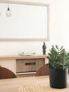Apartamento Pe�iscola Playa Primera Linea