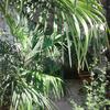 Apartamento Palmera