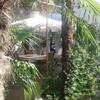 Apartamento Palmera