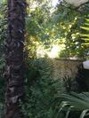 Apartamento Palmera