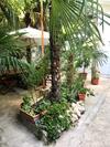 Apartamento Palmera