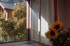 Ferienhaus Septimer