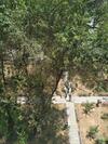 Apartamento In The Heart Of Yerevan