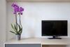 Apartamento Betty F