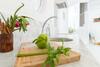 Apartamento Aquablanca Suite Chic Deluxe, En Punta Mujeres