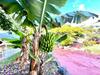 Apartamento Superior Studio With Pools, Close To The Beach