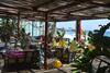 Mersinera Paradise Garden 2