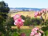 Casa Rural Bellavista Ronda