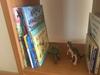 Apartamento Casa Dori