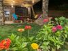 Hotel Elegis Village Resort