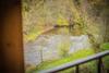 Vue Sur L'ourthe