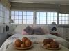 Apartamento Apto/suite Santa Cruz Tenerife