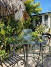 The Gecko Bungalow**beautiful Pool**free Airport Shuttle