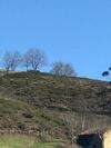 Agroturismo Posada El Pare�n