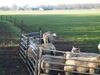 Bed & Breakfast Erve 't Hacht