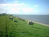 Chalet Recreatiepark De Friese Wadden2