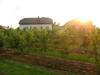 Agroturismo Owocowy Raj Nad Zalewem