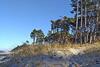 Holiday Home, Rusinowo