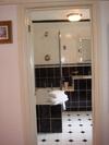 Hotel Gibtel Lodge & Cafe