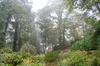 Bed & Breakfast Thornybank