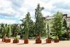 Green Kabaty Apartment 2