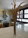 La Casa De Tita Elvira 6