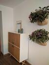 Apartamento Az El Balc�n De Torre Nueva I