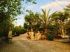 Finca Oase - Gaestehaus