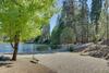Laurel Lodge Oasis